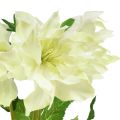Floristik21 Christrose Künstlich Schneerose Deko Seidenblumen 36cm