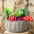 Rotkohl künstlich Real-Touch Ø12cm | Floristik21.de