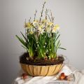 Floristik21 Pflanzgefäß rund, Blumendeko, Kunststoffschale, Gefäß für Gestecke Grün, Weiß meliert H8,5cm Ø30cm