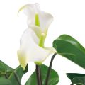 Floristik21 Calla Lilie Kalla Kunstblumen Weiß Exotische Blumen 34cm