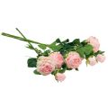 Floristik21 Kunstrosen Rosa Künstliche Rosen Dry Look 53cm 3St