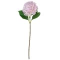 Floristik21 Hortensie künstlich Hellrosa Kunstblume Rosa Ø15,5cm 45cm