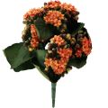 Floristik21 Flammendes Käthchen Kalanchoe künstlich Orange 24cm