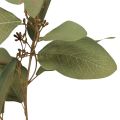 Floristik21 Eukalyptuszweig künstlich Dekozweig Grün 60cm