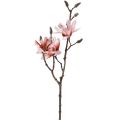 Floristik21 Magnolienzweig Magnolie künstlich Lachs 58cm