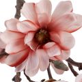 Floristik21 Magnolienzweig Magnolie künstlich Lachs 58cm