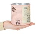 Blumentopf Deko Dose Lachs Metall Sommerdeko Ø11cm H10,5cm | Floristik21.de