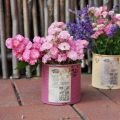 Deko Dose Shabby Chic Metall Ø11cm H10,5cm Verschiedene Farben | Floristik21.de