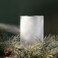 Eisblumenspray für Glasflächen innen 150 ml weiß | Floristik21.de