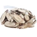 Floristik21 Holzscheiben Birke oval Birkenscheiben 4-9cm 450g