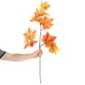 Künstlicher Ahornzweig 100cm Herbstfarben Innenbereich | Floristik21.de
