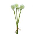 Floristik21 Allium 35cm Weiß 6St