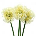 Floristik21 Zierlauch Allium künstlich Weiß 51cm 4St
