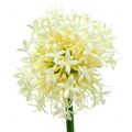 Floristik21 Zierlauch Allium künstlich Weiß 51cm 4St