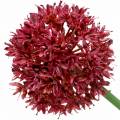 Floristik21 Zierlauch Allium künstlich Mauve Ø7cm H58cm 4St