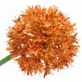 Floristik21 Zierlauch Allium künstlich Orange Ø7cm H58cm 4St