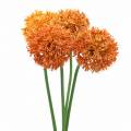 Floristik21 Zierlauch Allium künstlich Orange Ø7cm H58cm 4St