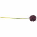 Floristik21 Zierlauch Allium künstlich Lila Ø12cm 65cm