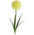 Floristik21 Allium Gelb 68cm