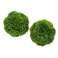 Floristik21 Alliumball 5cm Grün 4St