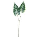 Floristik21 Alocasia Elefantenohr Pfeilblatt Kunstpflanzen Grün 55cm