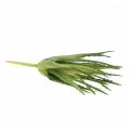 Floristik21 Aloe Vera künstlich Grün 26cm