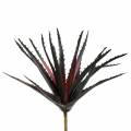 Floristik21 Aloe Vera künstlich Lila 26cm