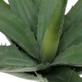 Floristik21 Aloe Zweig künstlich Grün 47cm