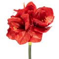 Floristik21 Kunstblume Amaryllis Rot 77cm Kunststoff für Vasen und Gestecke