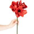 Kunstblume Amaryllis Rot 77cm Kunststoff für Vasen und Gestecke | Floristik21.de