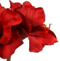 Floristik21 Amaryllis künstlich Groß rot 96,5cm