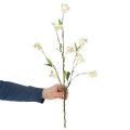 Künstlicher Apfelblütenzweig Weiß Dekoration 65cm Frühlingsdeko Zweig | Floristik21.de