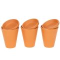 Floristik21 Aquasafe Wasserspeicher mit Insektentränke 12 cm 3er-Set