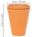 Aquasafe Wasserspeicher mit Insektentränke 12 cm 3er-Set | Floristik21.de