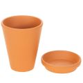 Aquasafe Wasserspeicher mit Insektentränke 12 cm 3er-Set | Floristik21.de