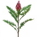 Floristik21 Künstliche Artischocke Pink Kunstpflanzen Deko Herbst H68cm