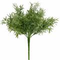 Floristik21 Asparagusbusch Zierspargel-Pick mit 9 Zweigen Kunstpflanze