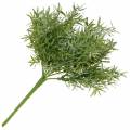 Floristik21 Asparagusbusch Zierspargel-Pick mit 9 Zweigen Kunstpflanze