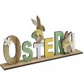 Floristik21 Aufsteller Ostern, Hasendeko, Tischschmuck aus Holz L40 H21cm