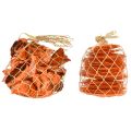 Floristik21 Austern Muscheln Capizscheiben im Netz Orange 3,5–9,5cm 2St