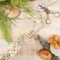 Dekoband Polyester Beige Stechpalmen Beeren 25mm x 18m Innenbereich | Floristik21.de