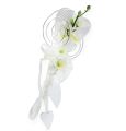 Floristik21 Bankhänger mit Röhrchen und Herz 18cm 6St