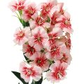 Floristik21 Bartnelke künstlich Nelke Peach Pink 52cm