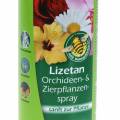 Floristik21 Orchideen- & Zierpflanzenspray Lizetan 400ml