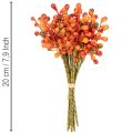 Beerenbund Orange L20cm | Floristik21.de