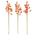 Beerenbund Orange L20cm | Floristik21.de