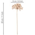 Künstlicher Beerenzweig Kunststoff Champagner 28cm 3er-Set Innenbereich | Floristik21.de