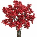 Floristik21 Deko Zweig mit roten Beeren Beerenzweig Herbstdeko 26cm 6St