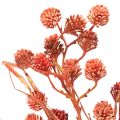 Künstlicher Beerenzweig 68cm Kunststoff Rot-Rosa-Grün Innenbereich | Floristik21.de