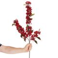 Künstlicher Zweig mit roten Beeren und grünen Blättern, 96 cm, Kunststoff | Floristik21.de